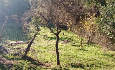 Parcela en Venta en Licancheu