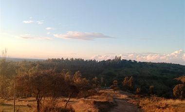 Parcela en Venta en Licancheu