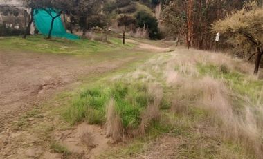 Parcela en Venta en Licancheu