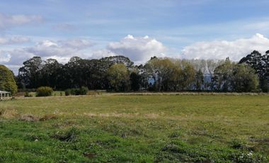 Parcela en venta  en PUERTO VARAS