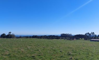 Parcela en venta  en PUERTO VARAS