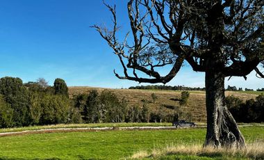 Parcela en venta  en PUERTO VARAS
