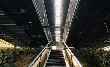 SE RENTA LOCAL COMERCIAL (PARA ESTRENAR)