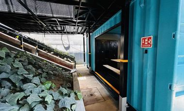 SE RENTA LOCAL COMERCIAL (PARA ESTRENAR)