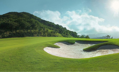 LOT FOR SALE: 550 sqm Prime Residential Lot in Calamba, Laguna - Ayala Greenfield Estates