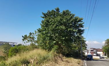 Vacant Residential Lot FOR SALE - Timberland Heights, San Mateo, Rizal