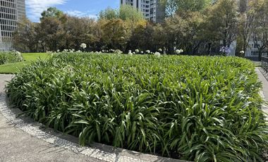 Renta departamento en Lo Alto, Bosque Real,  Huixquilucan, EDOMEX