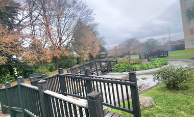 VIVE EN EL BARRIO INGLÉS EN UN DEPTO CON FULL AMENITIES