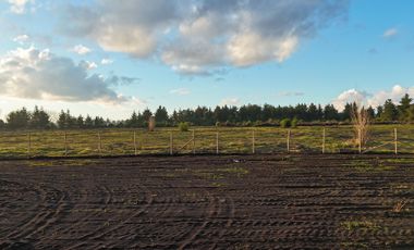 PARCELAS DE 5000 M2 SECTOR CHACAYAL SUR IMPERDIBLES!!