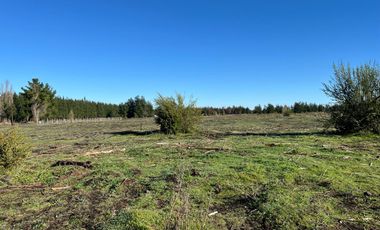 PARCELAS DE 5000 M2 SECTOR CHACAYAL SUR IMPERDIBLES!!