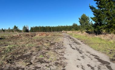 PARCELAS DE 5000 M2 SECTOR CHACAYAL SUR IMPERDIBLES!!