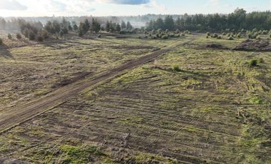 PARCELAS DE 5000 M2 SECTOR CHACAYAL SUR IMPERDIBLES!!