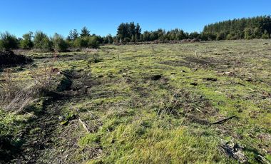 PARCELAS DE 5000 M2 SECTOR CHACAYAL SUR IMPERDIBLES!!