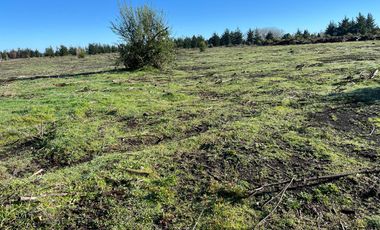 PARCELAS DE 5000 M2 SECTOR CHACAYAL SUR IMPERDIBLES!!