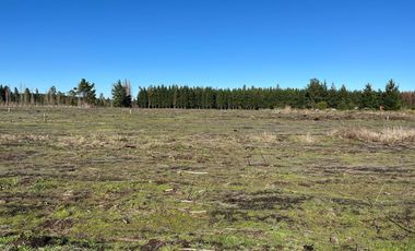 PARCELAS DE 5000 M2 SECTOR CHACAYAL SUR IMPERDIBLES!!