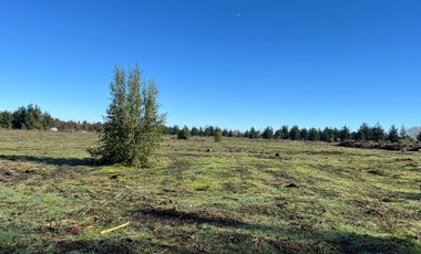 PARCELAS DE 5000 M2 SECTOR CHACAYAL SUR IMPERDIBLES!!