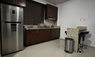 DEPARTAMENTO EN MARINA PLATINO