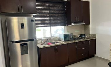 DEPARTAMENTO EN MARINA PLATINO