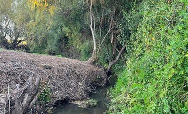 Parcela en Venta en Cumpeo