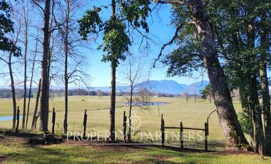 Moderna casa en media Ha de bosque y jardin