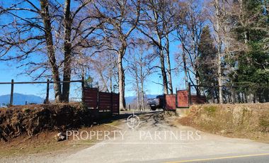 Moderna casa en media Ha de bosque y jardin