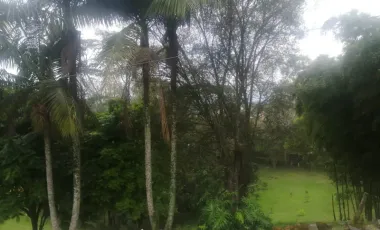 Se vende finca en el chocho mayo,marinilla