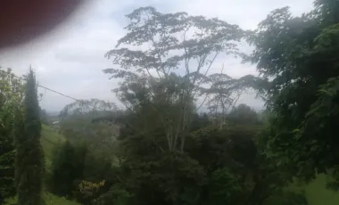 Se vende finca en el chocho mayo,marinilla