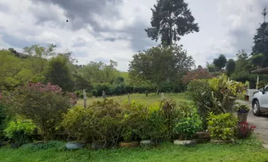 Se vende finca en san vicente de ferrer
