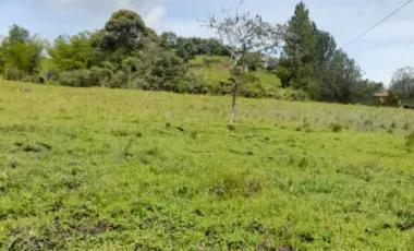 Se vende finca en san vicente de ferrer