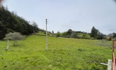 Se vende finca en san vicente de ferrer