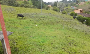 Se vende finca en san vicente de ferrer