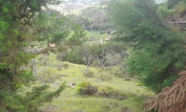 Se vende finca en san vicente de ferrer