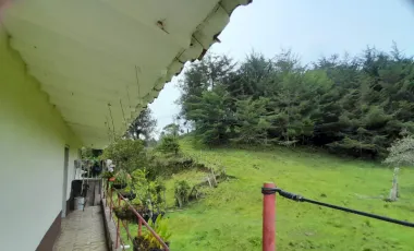 Se vende finca en san vicente de ferrer