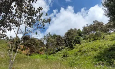 Se vende en vereda la milagrosa,marinilla