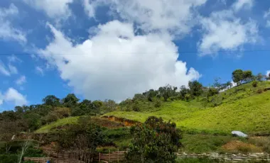 Se vende en vereda la milagrosa,marinilla