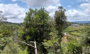 Se vende en vereda la milagrosa,marinilla