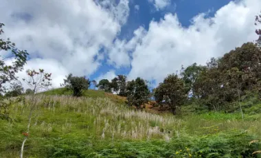 Se vende en vereda la milagrosa,marinilla