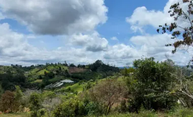 Se vende en vereda la milagrosa,marinilla