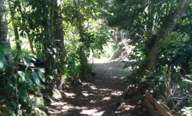 Se vende finca en piedragorda, santa elena