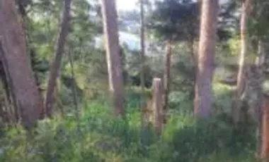 Lote en venta, vereda el chagualo, marinilla