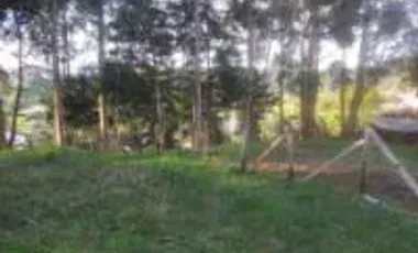 Lote en venta, vereda el chagualo, marinilla