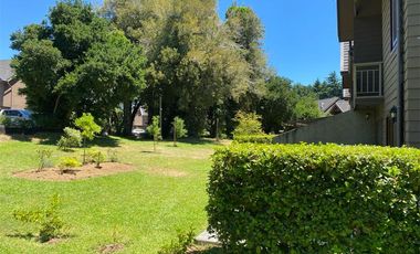 ARRIENDO DIARIO CASA  EN PUCON -EPOCA DE SKY