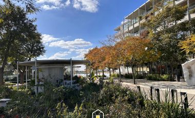 ALQUILER, CASA, PUERTOS, BARRIO RIBERAS, LOTE AL 400, 5 AMBIENTES