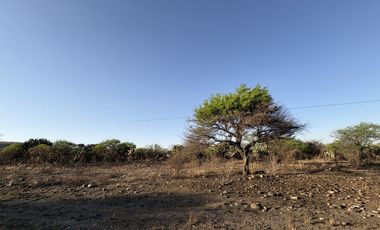 VENTA MACROLOTE INDUSTRIAL CARRETERA TECOZAUTLA HIDALGO