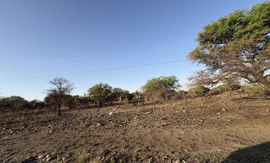 TERRENO INDUSTRIAL CORREDOR TURISTICO VENTA TECOZAUTLA HIDALGO