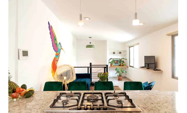 RENTA PENT HOUSE ESTILO MEXICANO, SÚPER CÉNTRICO, SAN MIGUEL CHAPULTEPEC SECC II