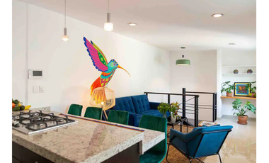 RENTA PENT HOUSE ESTILO MEXICANO, SÚPER CÉNTRICO, SAN MIGUEL CHAPULTEPEC SECC II