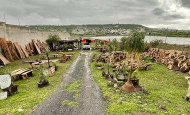 Renta de terreno sobre Fray Junìpero Serra
