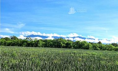 VENDO DOS CASAS DE CAMPO PARA UNA SOLA FAMILIA