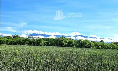 VENDO DOS CASAS DE CAMPO PARA UNA SOLA FAMILIA
